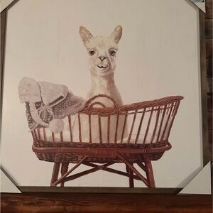 Brand new llama picture